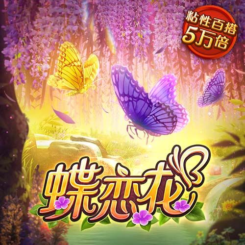 yobo讲解
